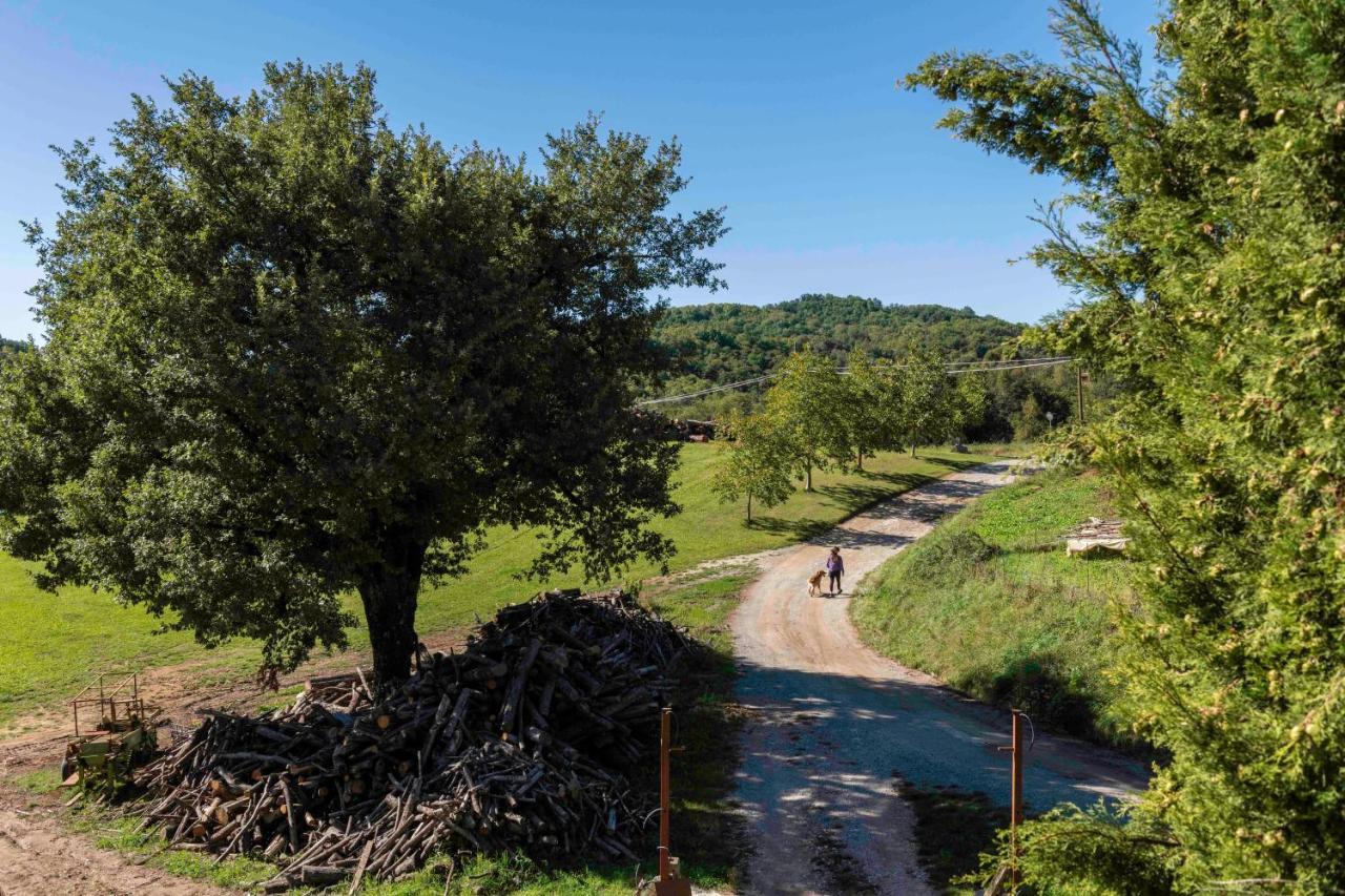 Podere Pratizzoli Tole Exterior foto